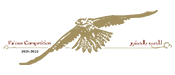 falcon-competition_png_logo_2